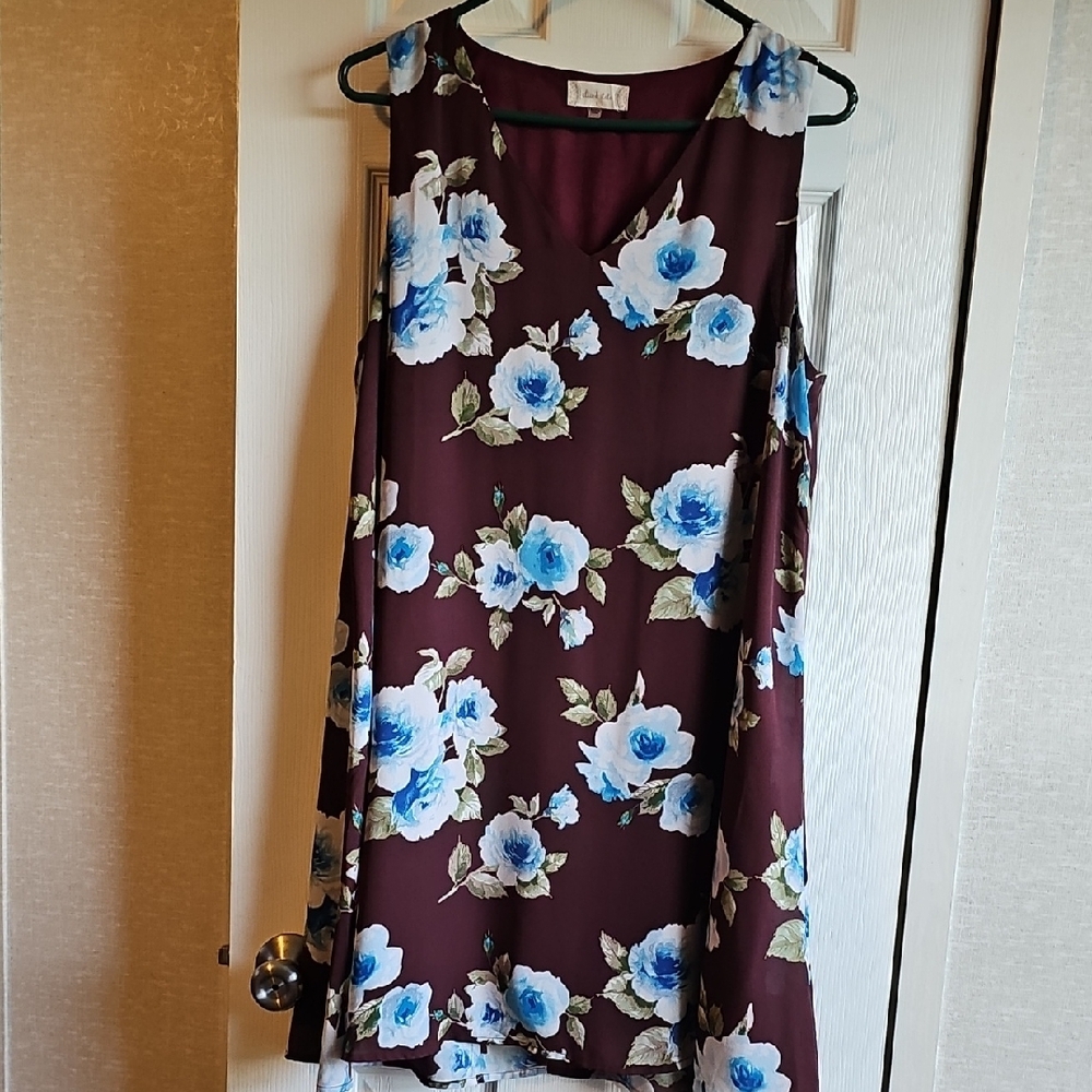 Altar'd State Red V-Neck High Low Sundress